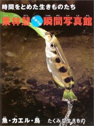 【未読品】 魚・カエル・鳥 : たくみな生きもの