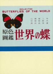 【未読品】【送料無料】原色圖鑑 世界の蝶