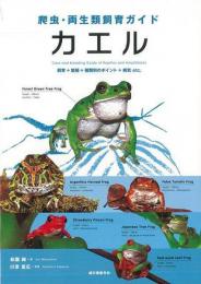  【未読品】  カエル : 飼育+繁殖+種類別のポイント+病気etc