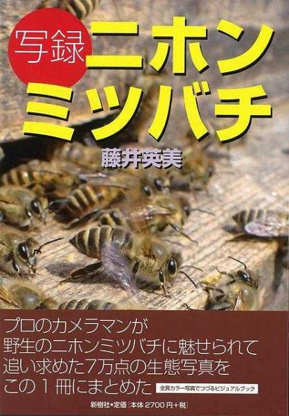 🐝太田 プロ