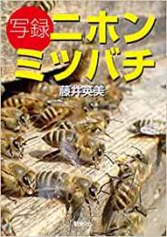 【未読品】 写録ニホンミツバチ