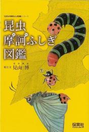 【未読品】 昆虫摩訶ふしぎ図鑑