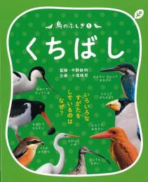 【未読品】 鳥のふしぎ１　くちばし