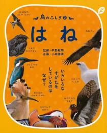 【未読品】 鳥のふしぎ２　はね