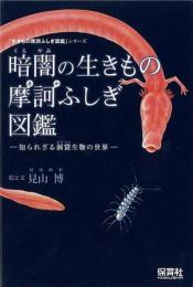 【未読品】 暗闇の生きもの摩訶ふしぎ図鑑