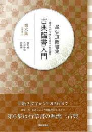 【未読品】 星弘道臨書集　古典臨書入門　第六集　行草書②