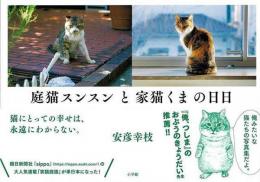 庭猫スンスンと家猫くまの日日