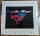 Fighting fish / fighting birds
