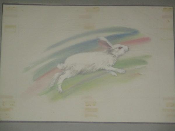 小林裕 作 うさぎ 兎 ウサギ 小学館の挿絵 大判肉筆原画 直筆画稿 9 真作 イラスト 挿画 学習雑誌 絵本 児童画 動物 古本 中古本 古書籍の通販は 日本の古本屋 日本の古本屋