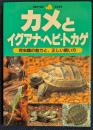 カメとイグアナ・ヘビ・トカゲ 爬虫類の魅力と、正しい飼い方