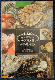 チズガメ類とダイヤモンドガメ
