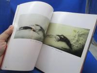 ルイ・イカール : アール・デコの女性たち