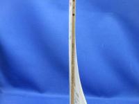 写真工業 1957年6月 no.61 プリズム一眼レフの諸問題 東独のカメラ プラクチナ 8ミリカメラ