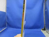 芥川龍之介 : 生誕百年、そして今