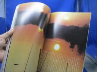 芥川龍之介 : 生誕百年、そして今