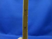 マンダラ : 出現と消滅 : 西チベット仏教壁画の宇宙