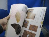 水と緑の宮代 宮代町史ビジュアル版』埼玉県宮代町教育委員会編/ 写真による宮代町史/ 原始・古代、中世、近世