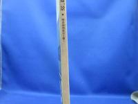 昇斎一景 : 明治初期東京を描く