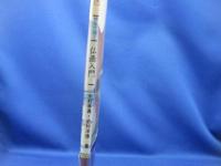 模写で描く彩色仏画入門