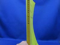 群馬県内出土の馬具・馬形埴輪