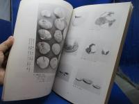 中世の祇園城 : 第38回企画展