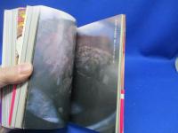 全東洋街道●上下巻●藤原新也●旅人アンカラトルコシリアイランパキスタンカルカッタチベットビルマチェンマイ上海香港　