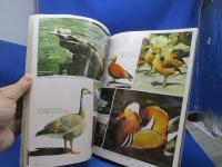 上野動物園グラフ　昭和60年10刷　東京動物園協会　