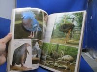 上野動物園グラフ　昭和60年10刷　東京動物園協会　