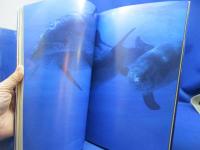 クジラが見る夢 : ジャック・マイヨールとの海の日々 The days with Jacques