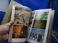 図説新約聖書の考古学 : イエスの生涯と聖地パレスチナ