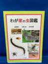 わが家の虫図鑑