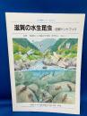 滋賀の水生昆虫 : 図解ハンドブック