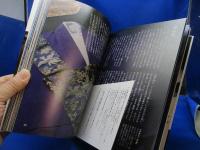 蜻蛉日記と王朝日記(更級日記・和泉式部日記・土佐日記) : 男と女、それぞれの"日記文学"