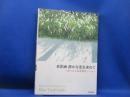 水彩画静かな光を求めて = Watarcolor Painting Note by Abe Toshiyuki : あべとしゆき制作ノート
