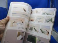 水彩画静かな光を求めて = Watarcolor Painting Note by Abe Toshiyuki : あべとしゆき制作ノート