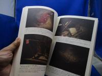 東日本大震災の記録と津波の災害史 : リアス・アーク美術館常設展示図録