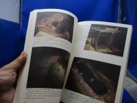 東日本大震災の記録と津波の災害史 : リアス・アーク美術館常設展示図録