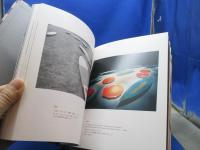 小清水漸 : 木の石の水の色