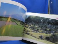 石の庭と苔の庭