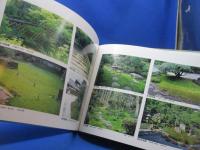 石の庭と苔の庭