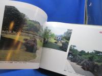 石の庭と苔の庭