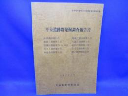 平泉遺跡群発掘調査報告書