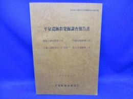 平泉遺跡群発掘調査報告書