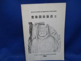 豊後国田染荘II 2: 　国東半島荘園村落遺跡詳細分布調査概報