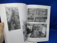 鎌倉市埋蔵文化財緊急調査報告書 : 発掘調査報告 13
