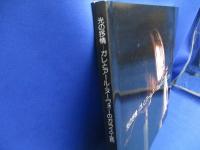 光の抒情 : ガレとアール・ヌーヴォーのガラス工芸
