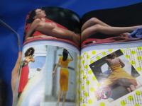 月刊プレイボーイ　PLAYBOY 日本版　1981年9月 No.75 インタビュー「ジョン・シャヒーン」　表紙写真.バレリー・ベリン/関根恵子