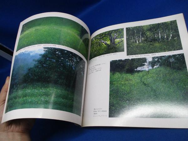 犬塚勉作品集 / 古本、中古本、古書籍の通販は「日本の古本屋」 / 日本