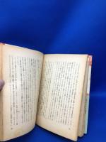 世界文学入門