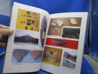 飛騨のあけぼの : 人が動く/モノが動く 交流する縄文・古代人 特別展